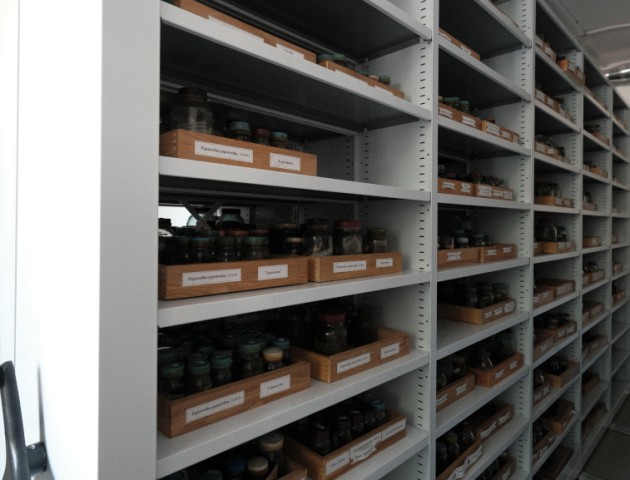 Стеллажи для хранения зоологических фондов