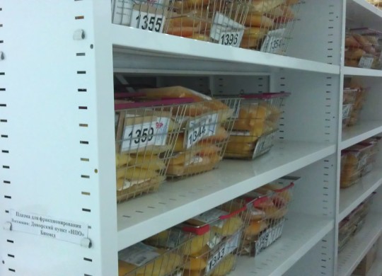 Дополнительная перфорация